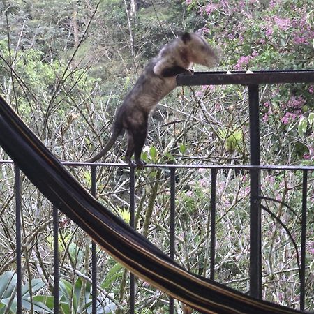 El Valle De Anton La Chachalaca Екстериор снимка