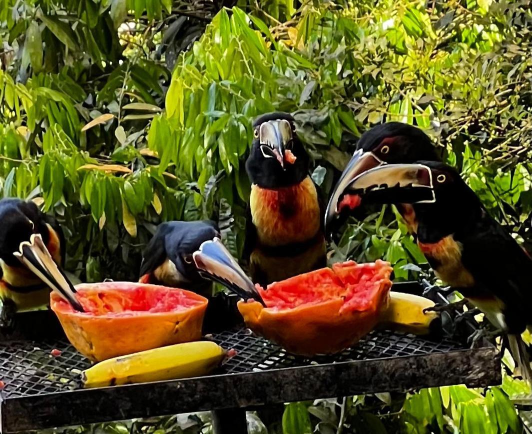 El Valle De Anton La Chachalaca Екстериор снимка